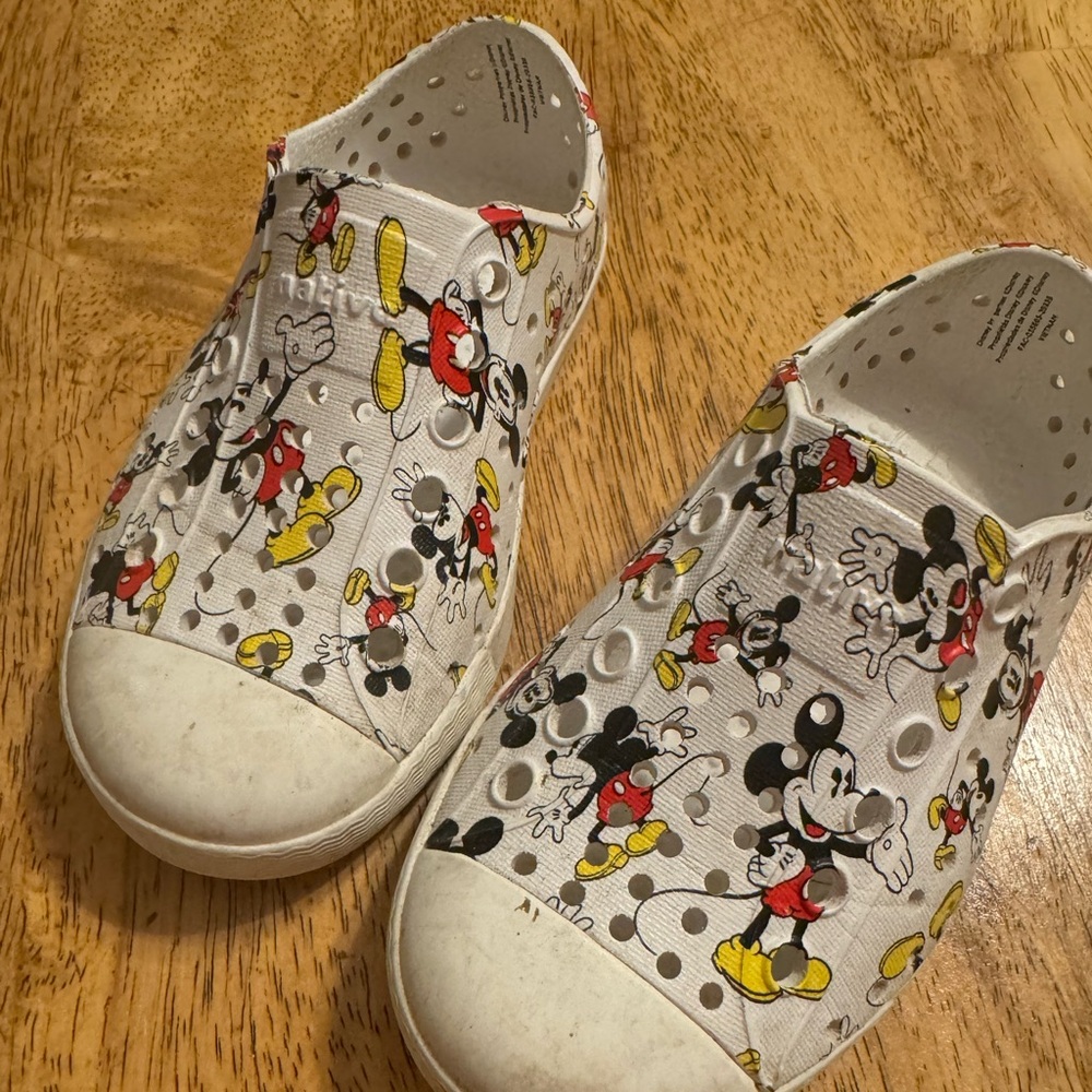 Native Mickey Slides